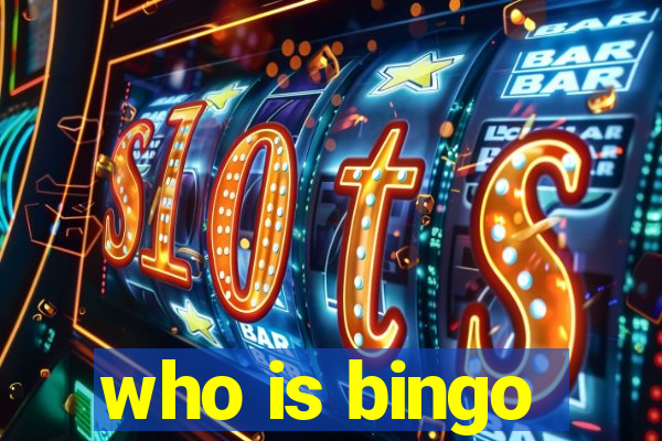 who is bingo