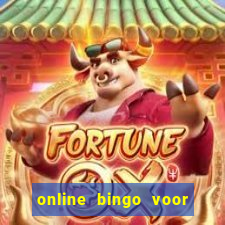 online bingo voor echt geld